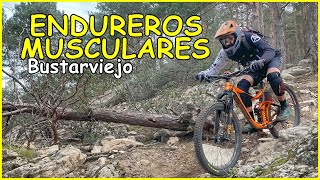 Resistencia Muscular ​ Bustarviejo | Living...