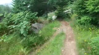 Matador At Innerleithen