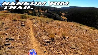 Naneum Rim and Naneum Meadow Trails –...