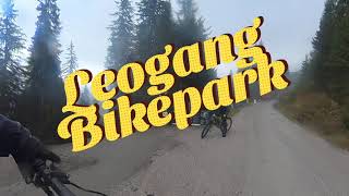 Leogang Bikepark - Red Trail \ Flow Link- L05