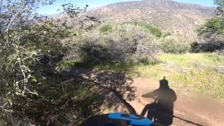 Mill Creek Trail Near Havilah, CA