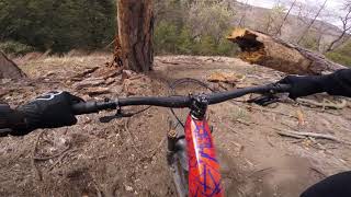 Mill Creek Trail Near Havilah, CA