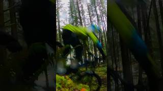 Wet and Wilder | Crazy Train Drop