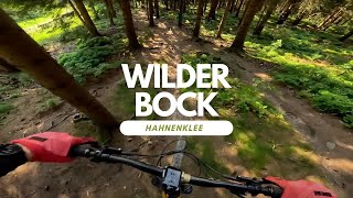 Wilder Bock Bikepark Hahnenklee Harz Full run...