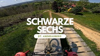 Schwarze Sechs Downhill Line MSB-X-Trail...