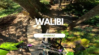 Walibi Red Line Bikepark Avoriaz France ...