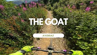 The Goat Bikepark Avoriaz France  Portes Du...