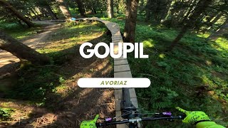 Goupil Bikepark Avoriaz France  Portes Du...