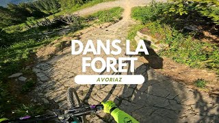 Dans la Foret Bikepark Avoriaz France  Portes...