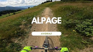 Alpage Level green Bikepark Avoriaz France ...
