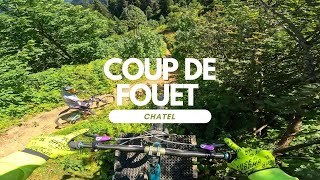 Coup de fouet Black Line France  Portes Du...