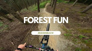Forest Fun Trailland Miesenbach Austria Full...