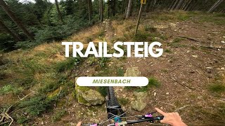 Trailsteig Trailpark Miesenbach Austria Full...