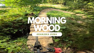Morning Wood Flow Trail Bikepark Kranjska Gora...