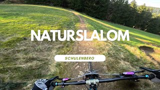 Naturslalom Flow Line 2024 Bikepark Racepark...