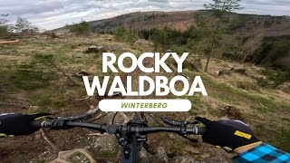 Rocky Waldboa Enduro Line Bikepark Winterberg...