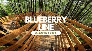 Blue Berry Line Bikepark Carosello 3000...
