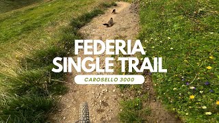 Federia Single Trail ￼|Murmeltiere kreuzen|...