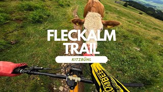 Fleckalm Trail Bikepark Kitzbühl Austria ...