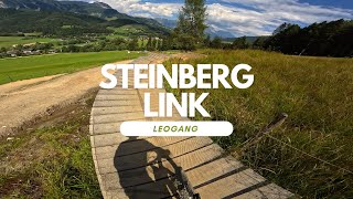 Steinberg Link Bikepark Leogang Austria Full...
