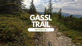 Gassl Trail Bikepark Reiteralm Schladming...