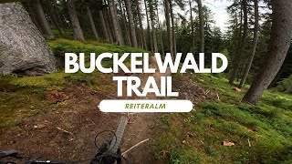 Buckelwald Trail Bikepark Reiteralm Schladming...