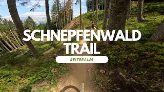Schnepfenwald Trail Bikepark Reiteralm...