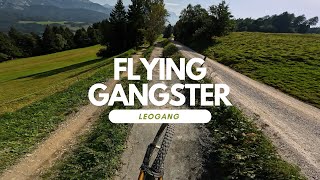 Flying Gangster | most popular Line at...
