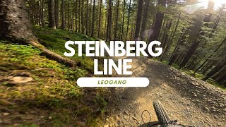 Steinberg Line Flow Trail Bikepark Leogang...