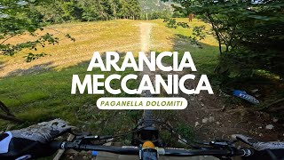 Arancia Meccanica Black Line Bikepark...