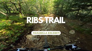 Ribs Trail Bikepark Paganella Dolomiti Italy ...