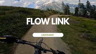 Flow Link Jump Line Bikepark Leogang full run...