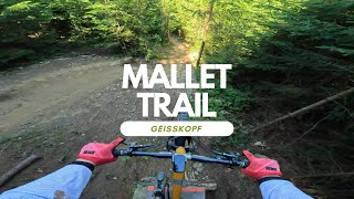 Mallet Trail Freeride Line Bikepark Geisskopf...