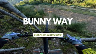Bunny Way Level Red Bikepark Semmering Austria...