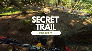 Secret Trail Level Schwarz Bikepark Geisskopf...