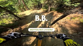 B.B. Black Line steepest Trail Bikepark...