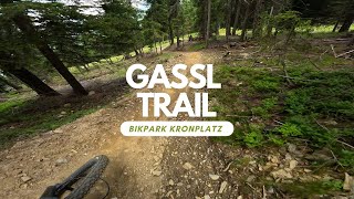 Gassl Trail Flow Line Bikepark Kronplatz...