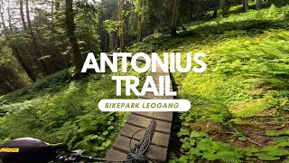 Antonius Trail Enduro Line Bikepark Leogang...