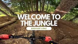 Welcome to the Jungle Enduro Trail Bikepark...