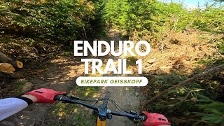 Enduro Trail 1 Rot Bikepark Geißkopf ganze...
