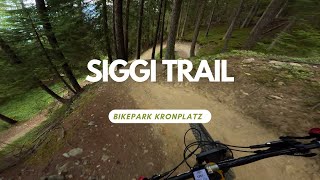 Siggi Trail Bikepark Kronplatz Level Rot RAW POV