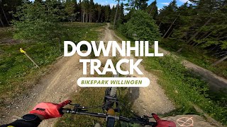 Downhill Track Schwarz alle Sprünge Bikepark...