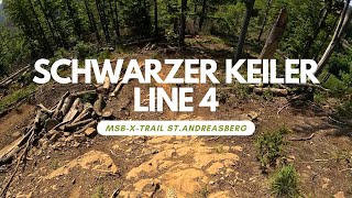 Downhill Schwarzer Keiler Line 4 Schwarz...