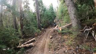 North Fork Taneum Trail 1377 - To Shelter