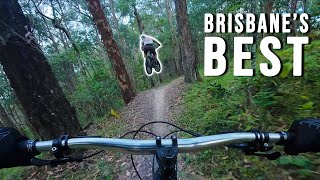 We took him to MT COTTON! | It got sendy