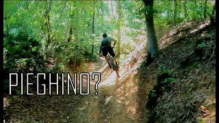 Top Trail: EL KONTADINASSO Raw