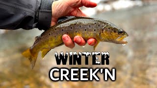 Small Creek Fishing Bust to Bonkers