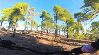 GC Guayadeque Trail #1