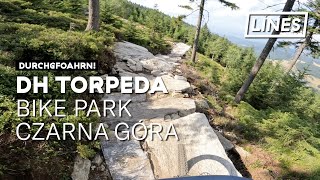 DH Torpeda - Bike Park Czarna Góra  | LINES