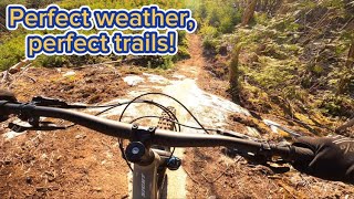 It’s SUMMER SEASON! Riding trails in Powell...